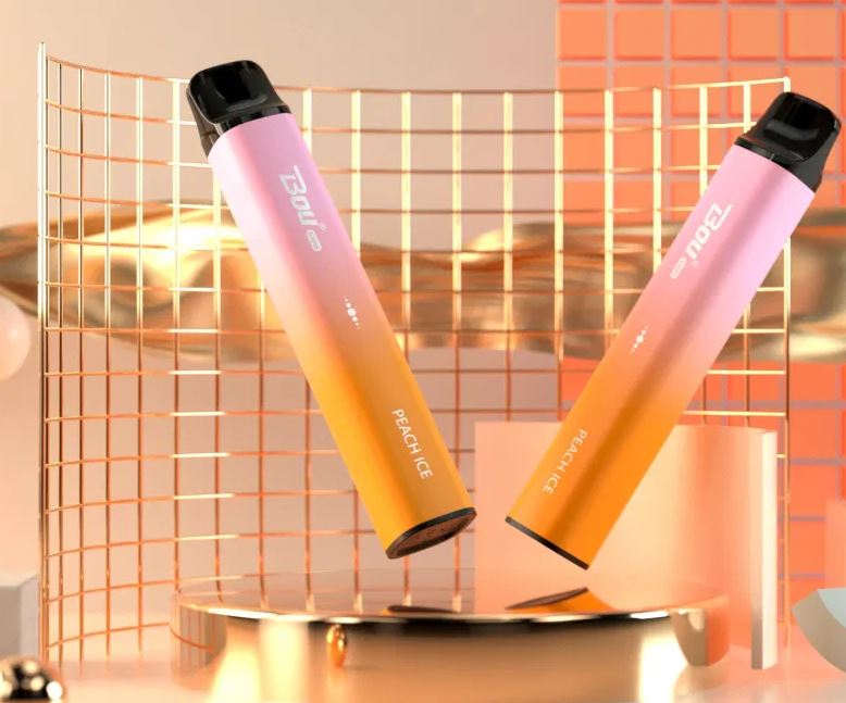 Blink Disposable Vape Bou Blink Disposable Vape (S3000 Puffs) | Dubai & Abu  Dhabi 6 Best