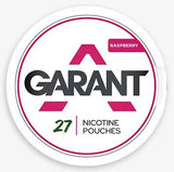 Best Nicotine Snus 2025