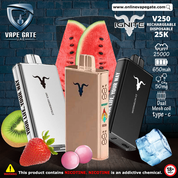 IGNITE - V250 Rechargeable Disposable Vape (25,000 Puffs) Best Vape 2025