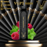 VGPT DISPOSABLE VAPE (6000 Puffs) vape delivery ajman