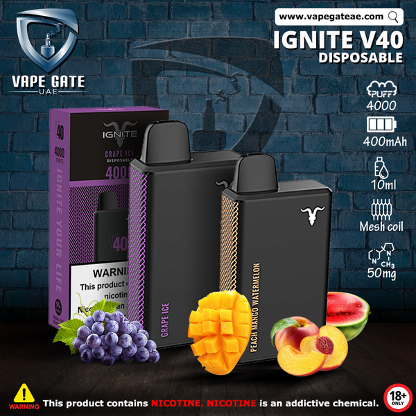 Disposable Vape Delivery Abu Dhabi Elfbar Ice King 30000 Puffs Disposable  Vape Disposable Vape UAE | Disposable Vape Delivery UAE Vape.ae