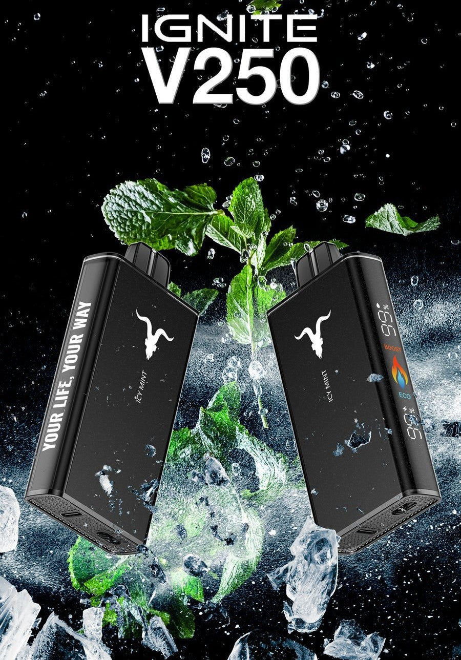 ignite v250 disposable vape IGNITE 25000 Puffs Price | V250 UAE
