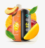 ELF Bar Raya D3 Disposable Pod Device (25K Puffs) vape offer ruwais