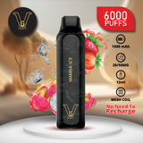 VGPT DISPOSABLE VAPE (6000 Puffs) vape delivery al ain