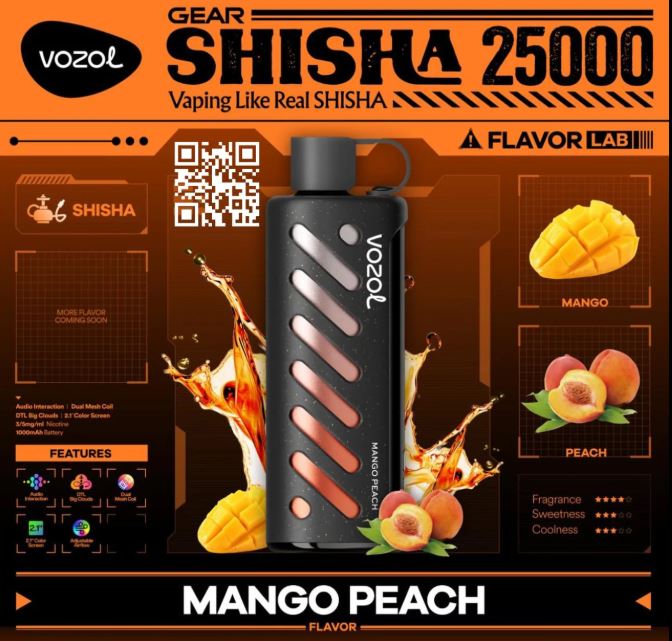 Vozol Gear Shisha DTL Disposable Pod (25,00 PUFFS)