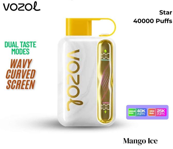 Vozol Star 40K Rechargeable Disposable Vape (40,000 Puffs) | Vape Same Day  Delivery Abu Dhabi & Dubai