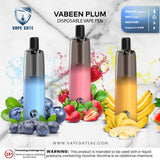 VABEEN PLUM 5000 PUFFS DISPOSABLE VAPE PEN Abudhabi DUbai Ruwais KSA