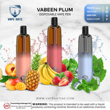 VABEEN PLUM 5000 PUFFS DISPOSABLE VAPE PEN Abudhabi DUbai Ruwais KSA