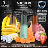 VABEEN PLUM 5000 PUFFS DISPOSABLE VAPE PEN Abudhabi DUbai Ruwais KSA