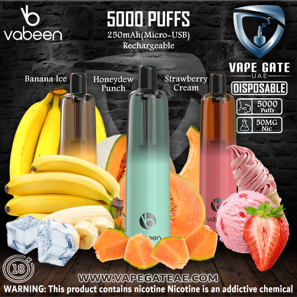 Vabeen Plum Disposable Vape (5,000 Puffs) Best Vape Shop in UAE 2025