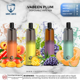 Vabeen Plum Disposable Vape (5,000 Puffs) Best Vape Shop in KSA UAE 2025