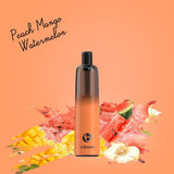 Vabeen Plum Disposable Vape (5,000 Puffs) Best Vape Shop in Ras Al Khaimah 2025