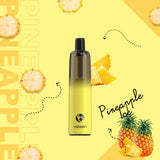 Vabeen Plum Disposable Vape (5,000 Puffs) Best Vape Shop Delivery in Sharjah 2025