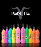 IGNITE – V25 (2500+ Puffs) Disposable Vape Abudhabi Dubai KSA